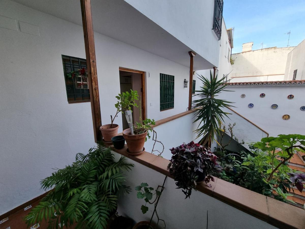 Appartement Apartamento Entre Patios San Basilio à Cordoue Extérieur photo