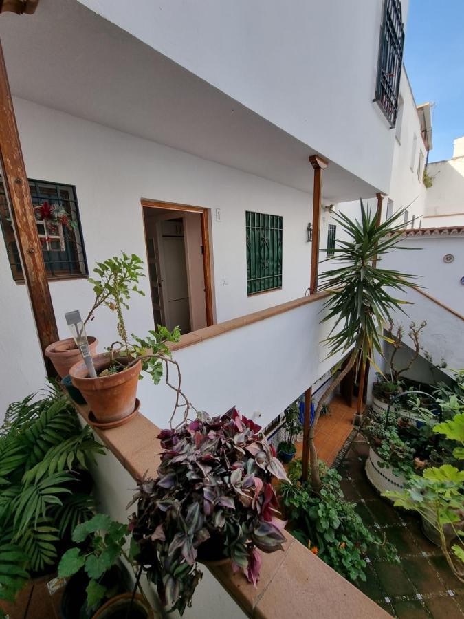 Appartement Apartamento Entre Patios San Basilio à Cordoue Extérieur photo